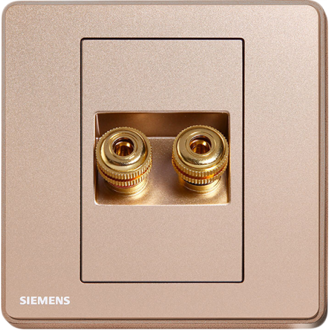 Siemens 西門子 5UH81813PC04 雙接線音響插座(金)
