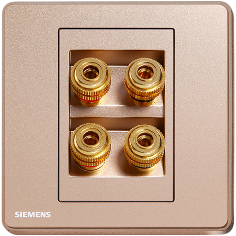 Siemens 西門子 5UH81823PC04 四接線音響插座 (金)