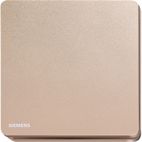 Siemens 西門子 5UH81133PC04 空白面板 (金)