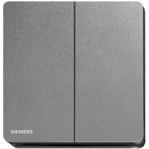 Siemens 西門子 5TA81223PC05 16AX 雙位單控開關掣 (銀灰色)