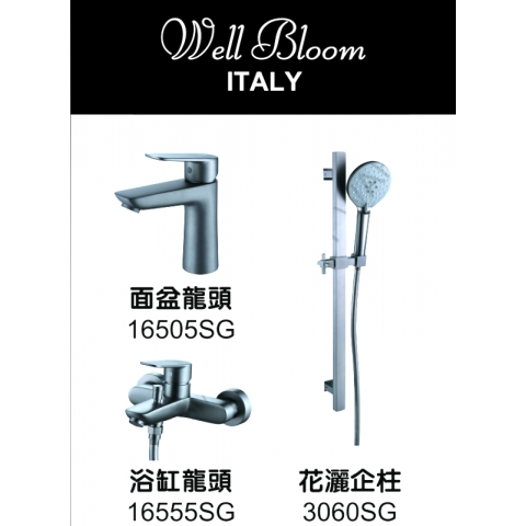 Well Bloom Italy 3SET165SG 165系列太空灰色3件龍頭優惠套裝