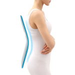 Back BACK-00002BU 人體工學可調節護腰背墊 (藍色)