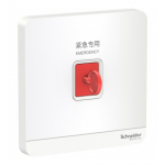 Schneider Electric 施耐德電氣 AvatarOn 緊急按鈕連鎖匙復位鍵 (搪瓷白) (E8331KPB_WE_C5)