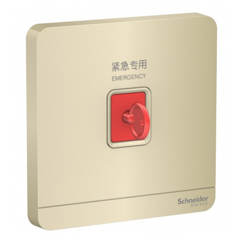 Schneider Electric 施耐德電氣 AvatarOn 緊急按鈕連鎖匙復位鍵 (沉醉金) (E8331KPB_WG_C5)