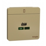 Schneider Electric 施耐德電氣 AvatarOn 65W單位USB快速充電 Type C (沉醉金) (E831USB65_WG)