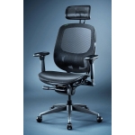 Razer RZ38-04940100-R3U1 Fujin Pro Fully Adjustable Mesh Gaming Chair