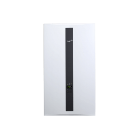 TGC NJW12RM-WH 12公升/分鐘 恆溫煤氣熱水爐 (背出) (白色)