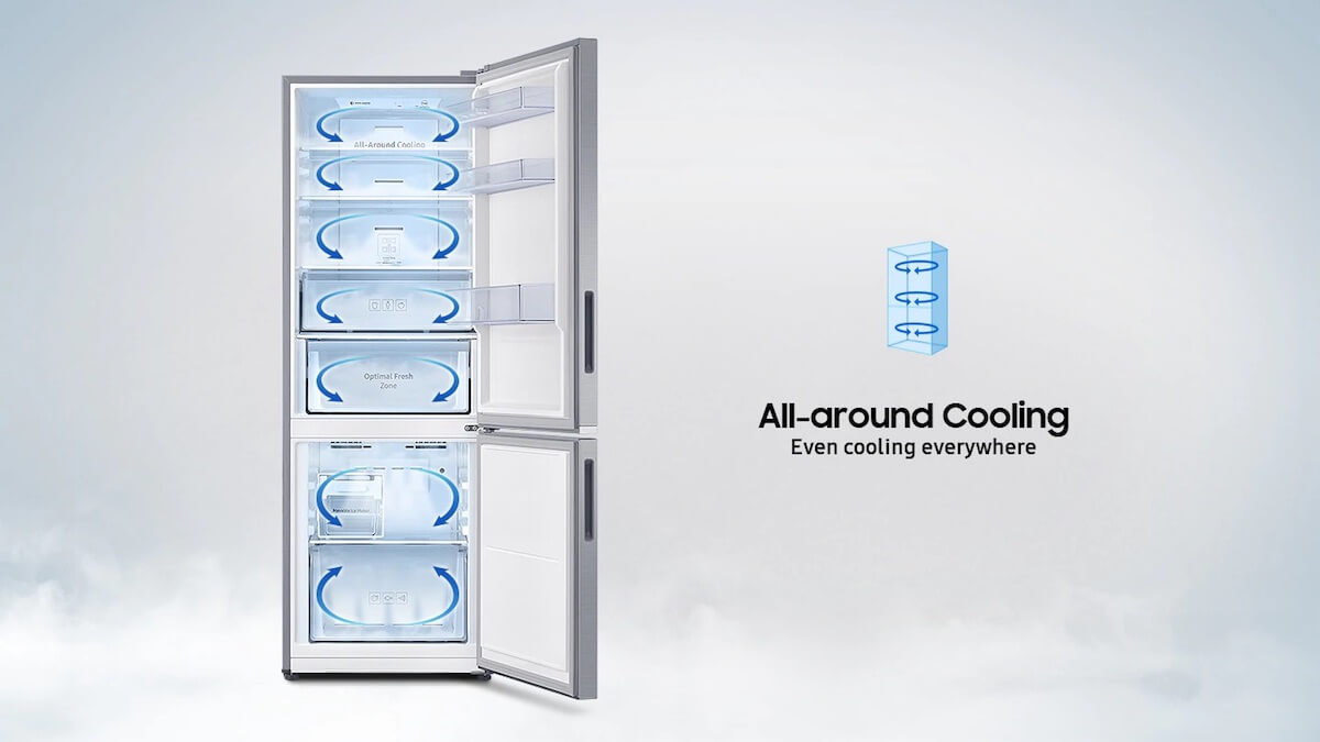 Samsung RB30N4050B1 290L Bottom Freezer 2 door refrigerator (Black Nickel)